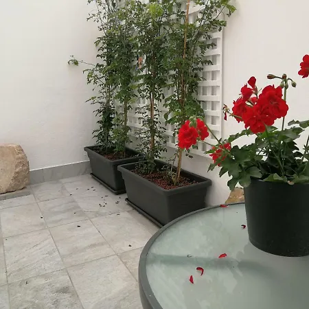 Apartamento Patio De La Escalera - Agustin Moreno 46 Córdoba